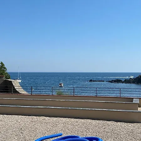 Collioure, 2 Pers, 28 M² - Fr-1-309-544 Port Vendres