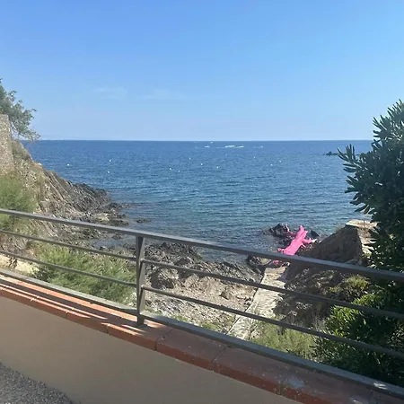 Διαμέρισμα - Cosy Pour 2 Personnes - Fr-1-309-544 Κολιούρ